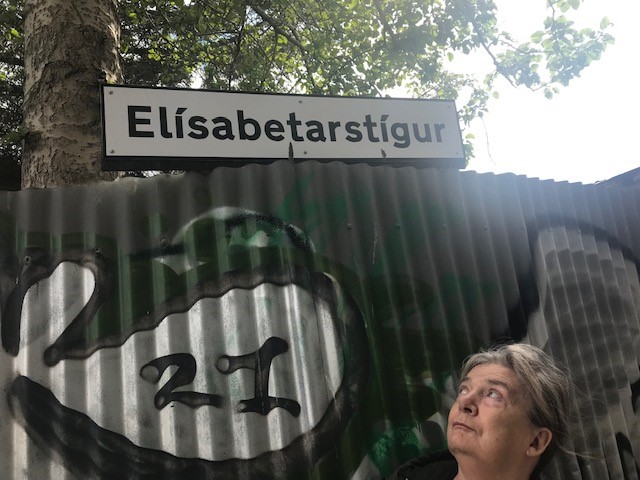 Elísabetarstígur_stór4.jpg
